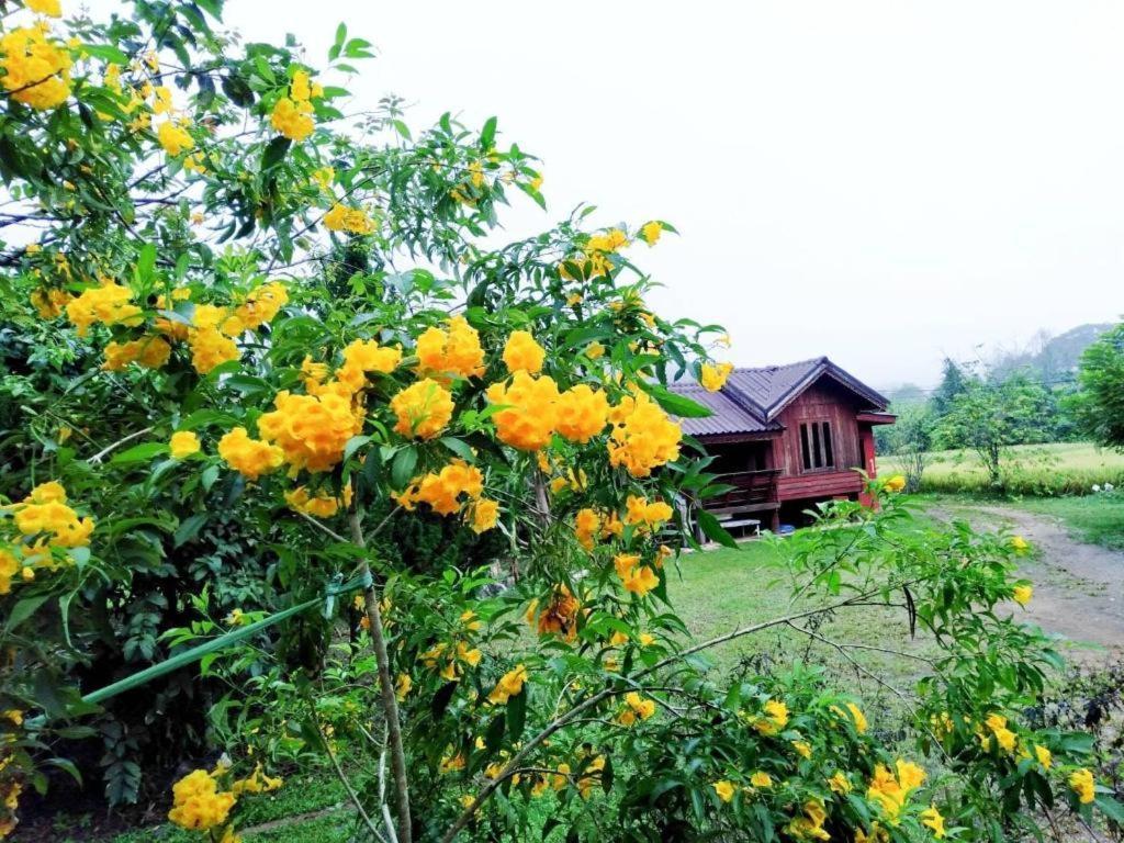 Nai Khun Khao Resort Чиангмай Экстерьер фото